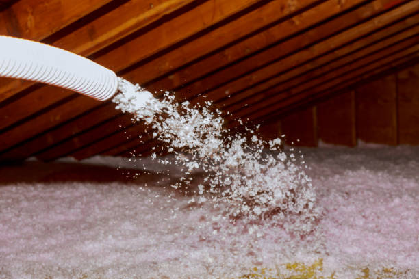 Best Cellulose Insulation in Jessup, PA