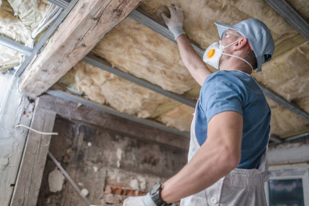 Types of Insulation We Offer in Jessup, PA