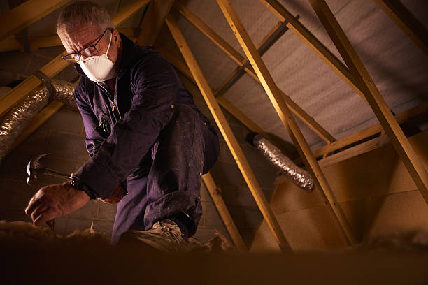 Best DIY Insulation Kits and Guidance in Jessup, PA